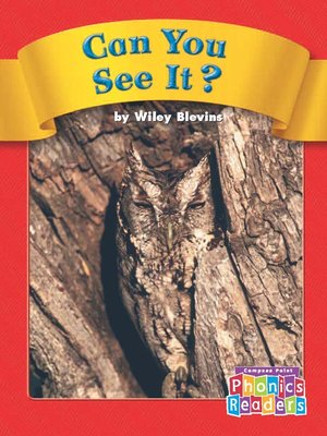 cover image of Can You See It?